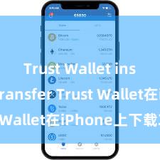 Trust Wallet instant transfer Trust Wallet在iPhone上下载攻略